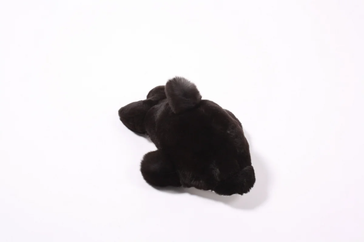 Kuscheltier Delphin, Bild 1 von 2