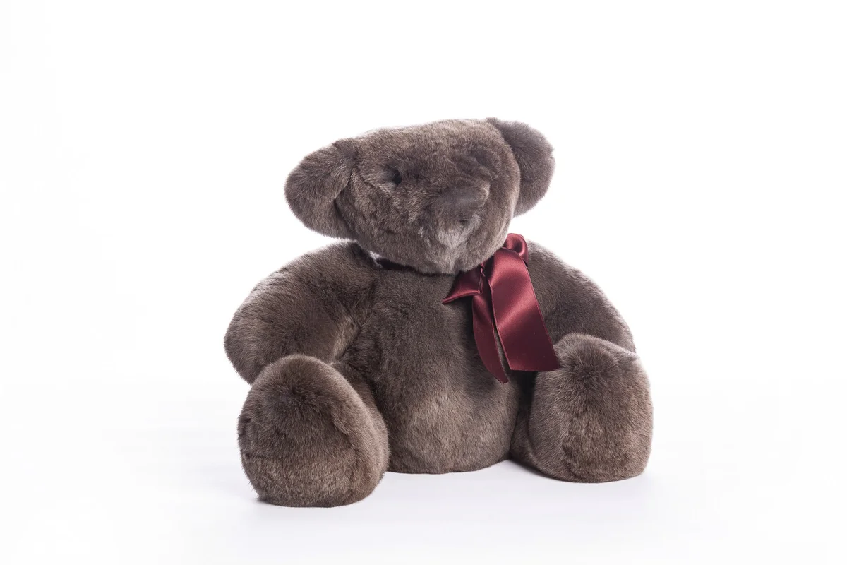 Kuscheltier Teddy, Bild 1 von 2