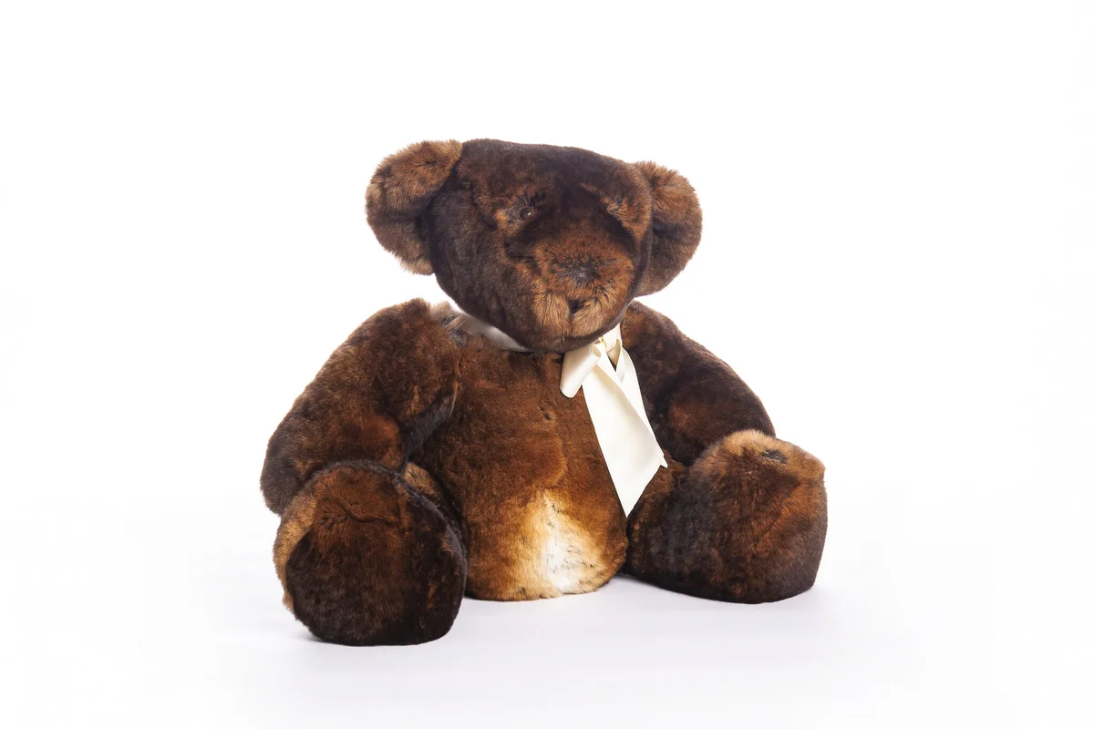 Kuscheltier Teddy, Bild 1 von 2