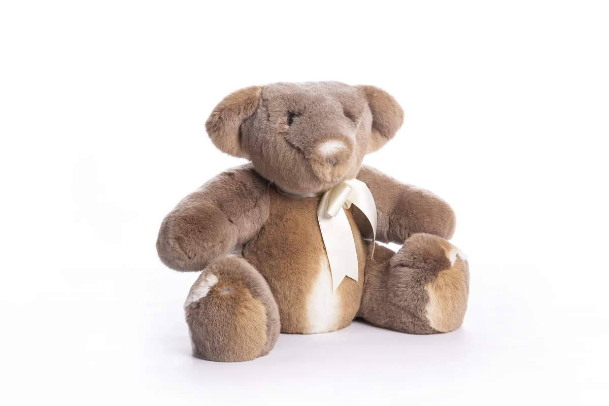 Kuscheltier Teddy, Bild 1 von 2