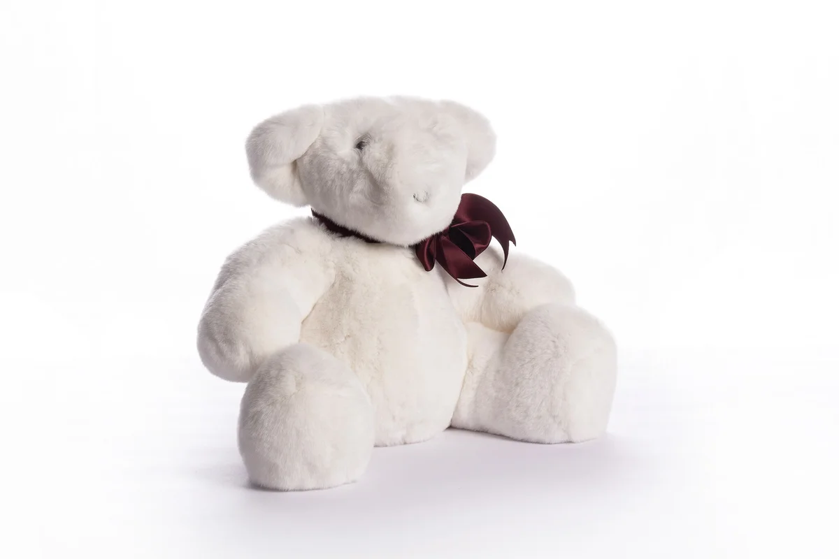 Kuscheltier Teddy, Bild 1 von 2