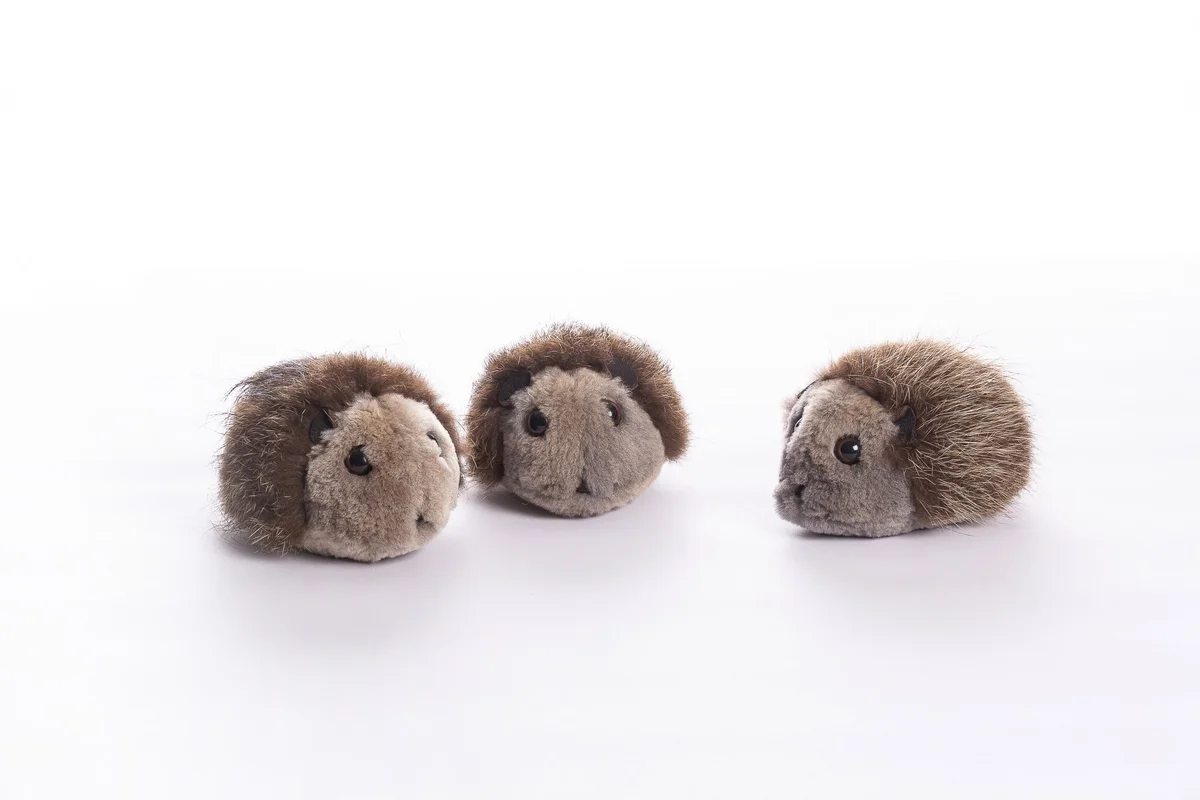 Magnettier Igel Isaak, Bild 1 von 2