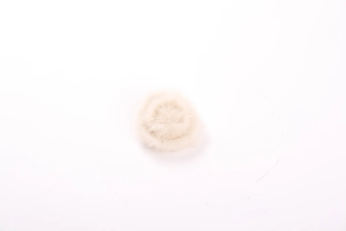 Rosenbrosche Klein, Bild 21 von 26