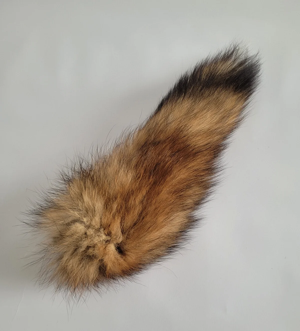 Schleppwild: Fuchslunte