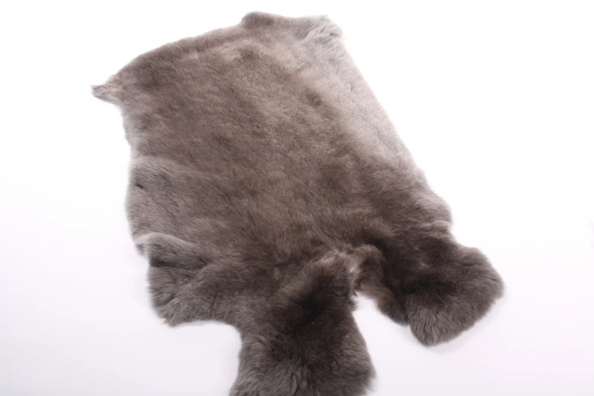 Top XXL Premium Rex Kanin Natur Blau, Bild 1 von 2