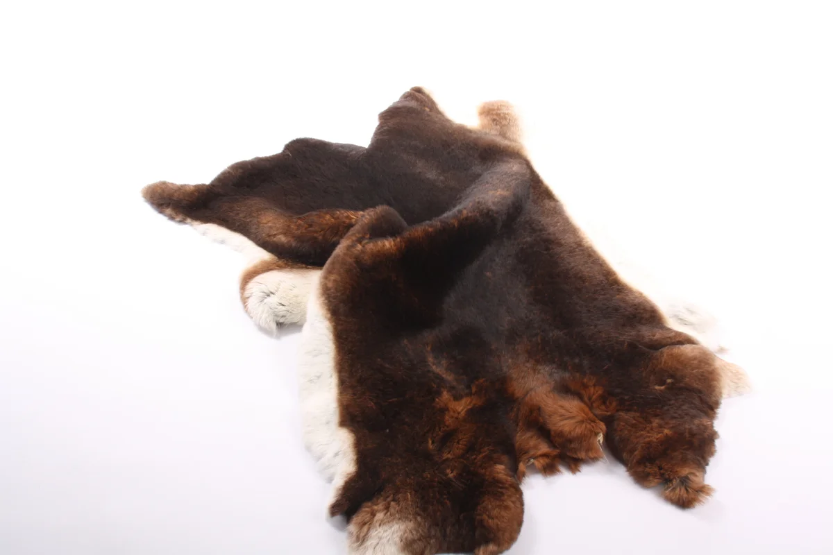Top XXL Premium Rex Kanin Natur Castor