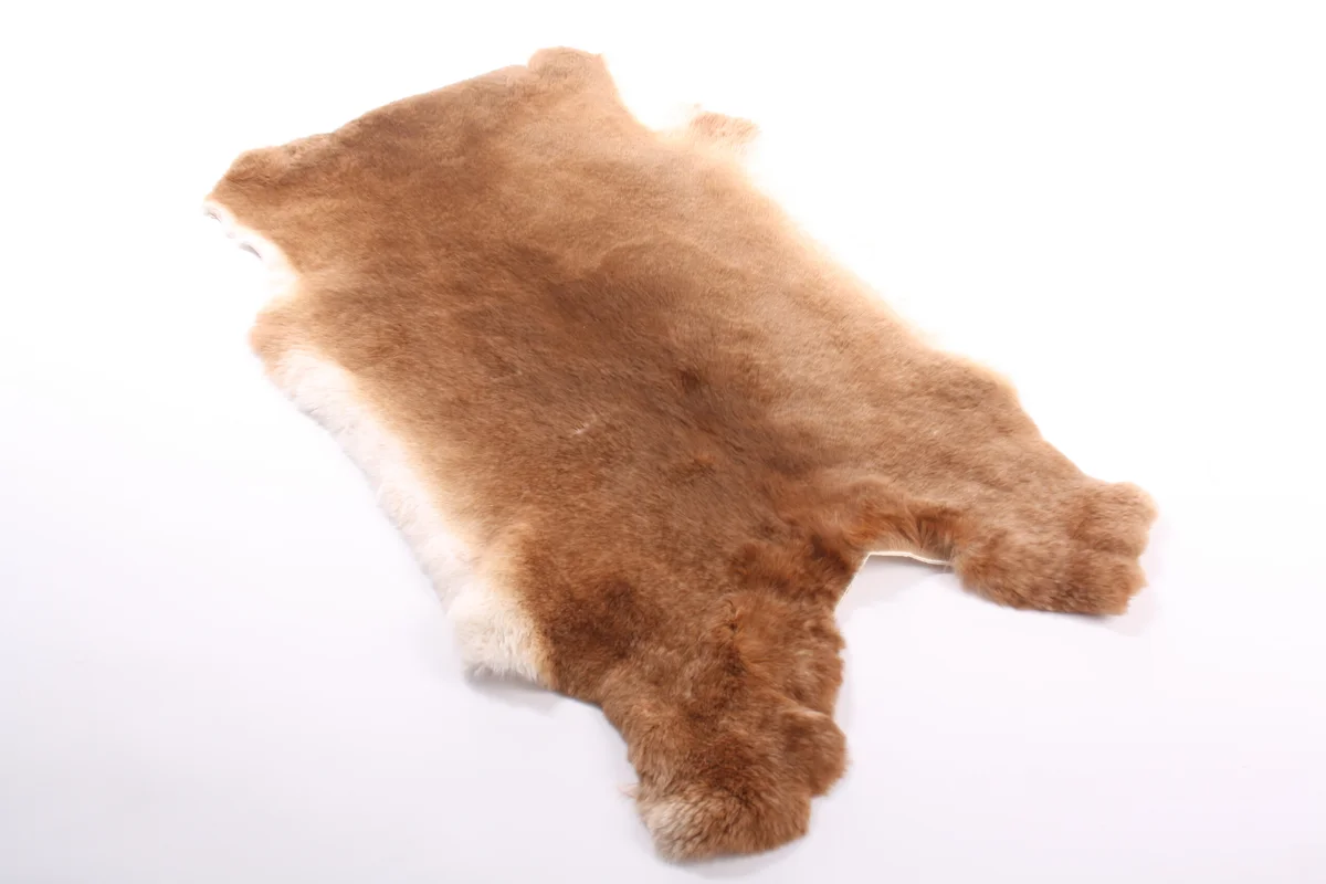 Top XXL Premium Rex Kanin Natur Gelb, Bild 1 von 2