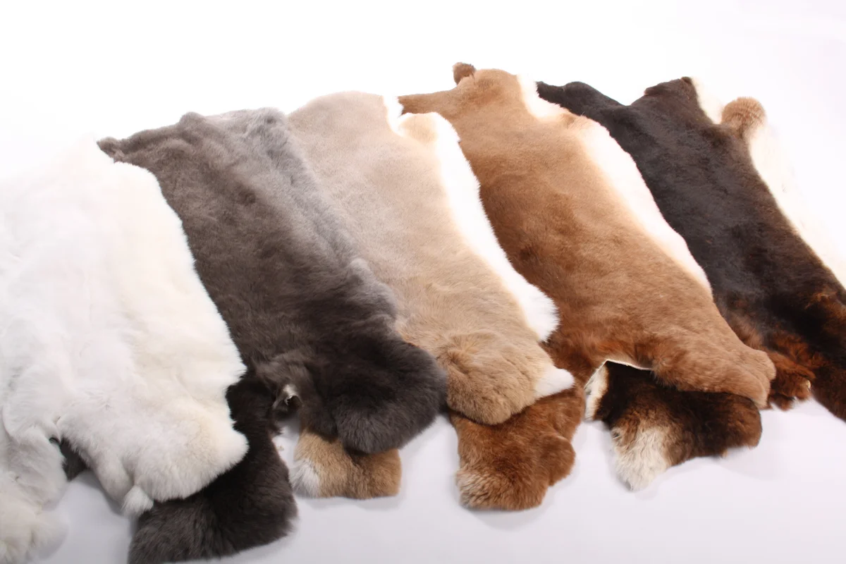 Top XXL Premium Rex Kanin Natur Gelb, Bild 2 von 2